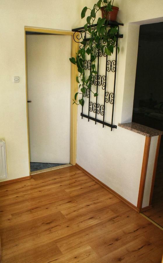 Apartments Vidos Dreznik Grad Bagian luar foto
